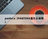 pantera（PANTERA是什么品牌）