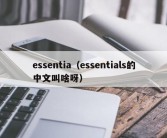 essentia（essentials的中文叫啥呀）